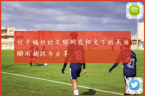 竹子编织的足球网在阳光下的美丽瞬间捕捉与分享