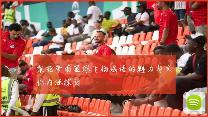 梨花带雨篮球飞扬成语的魅力与文化内涵探讨