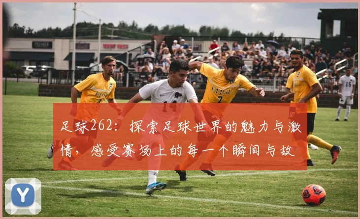 足球262：探索足球世界的魅力与激情，感受赛场上的每一个瞬间与故事
